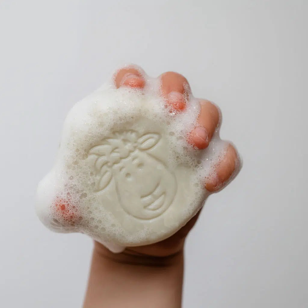 3-in-1 Bar Mike & Molly