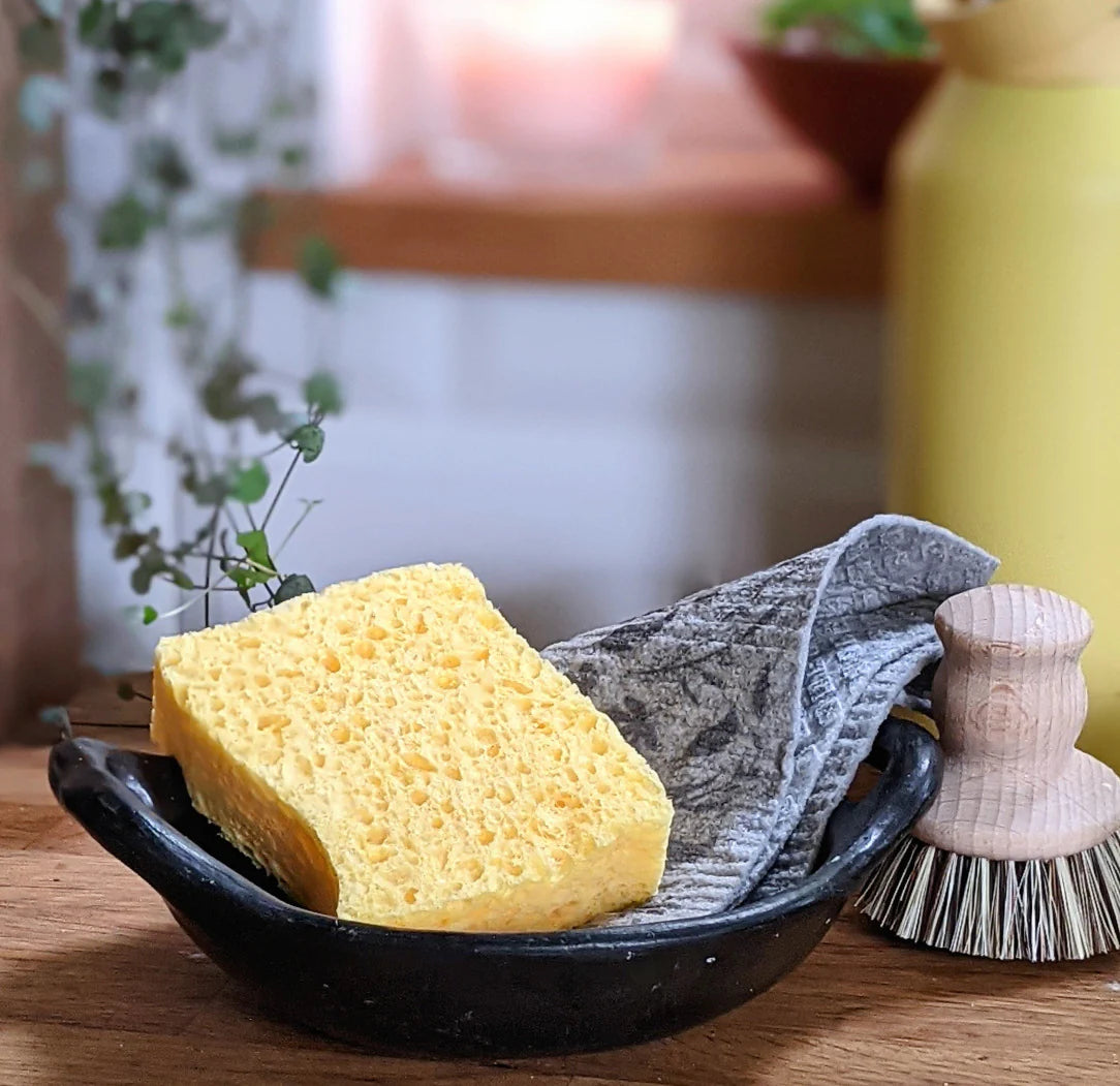 Compostable Sponge - The Plastic Free Co.