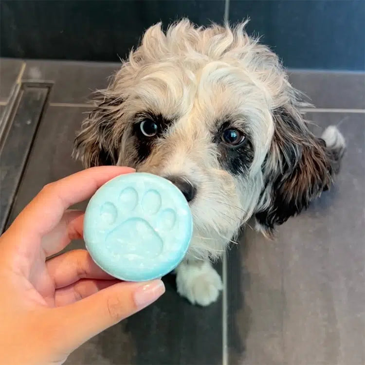 Shampoo Bar - Honden