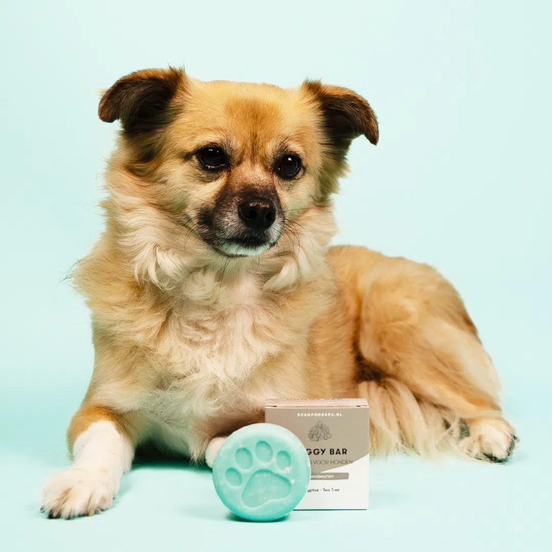 Shampoo Bar - Honden