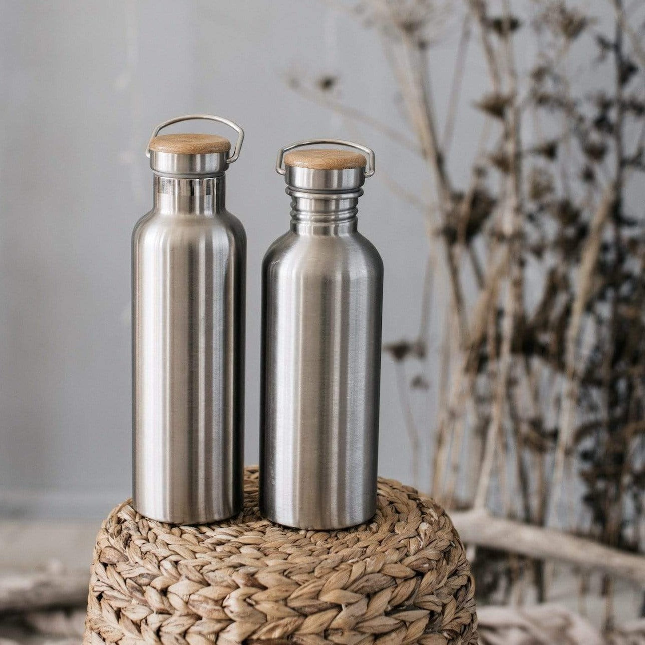 Stainless Steel Bottle - Plastic Free Amsterdam