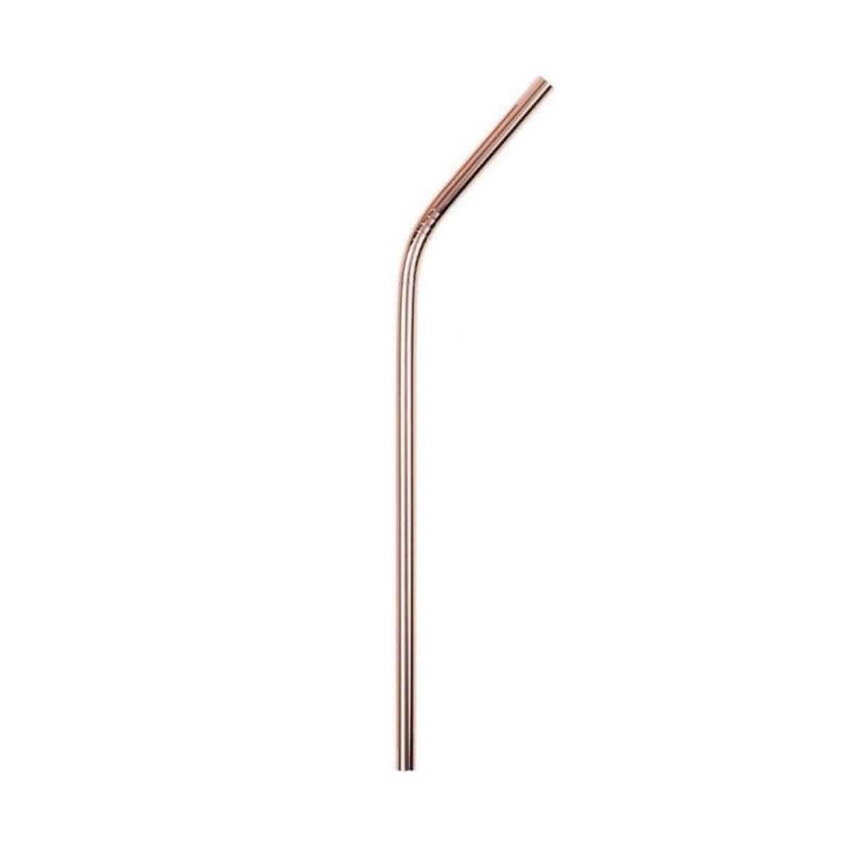 Stainless Steel Straws - Plastic Free Amsterdam